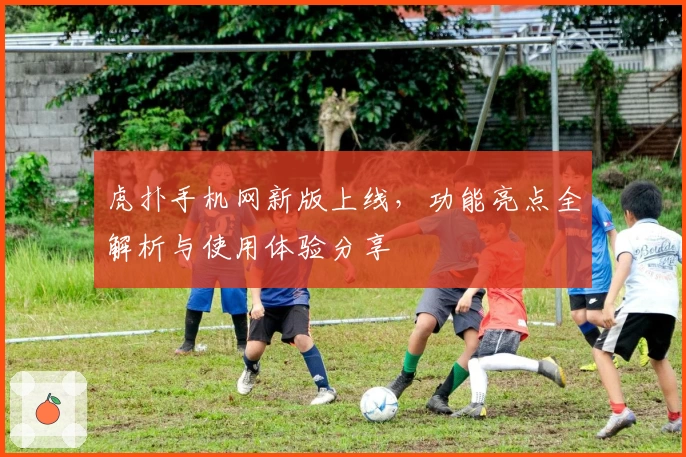 虎扑手机网新版上线，功能亮点全解析与使用体验分享