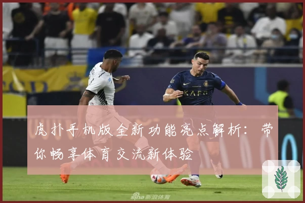 虎扑手机版全新功能亮点解析：带你畅享体育交流新体验