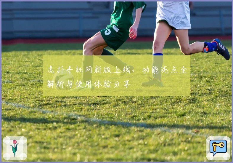 虎扑手机网新版上线，功能亮点全解析与使用体验分享